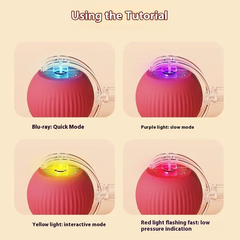 Cat Toys Ball